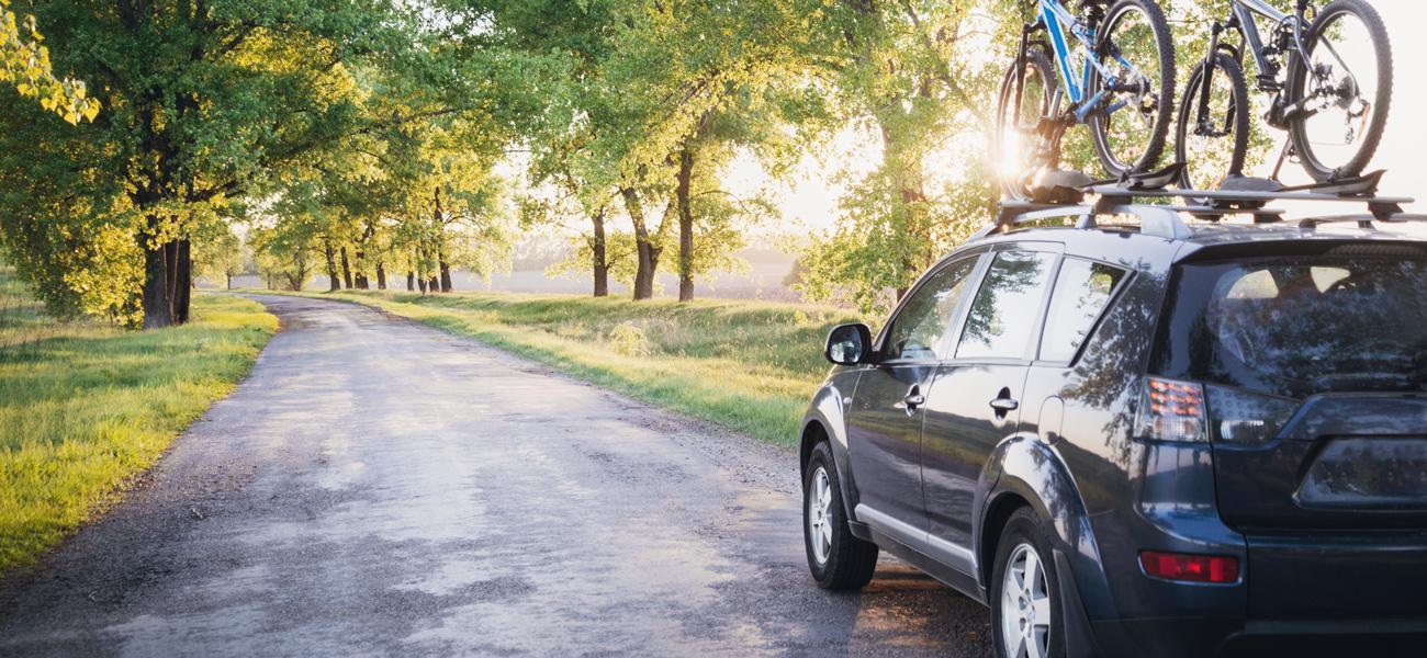 Taking care of cars in the summer 