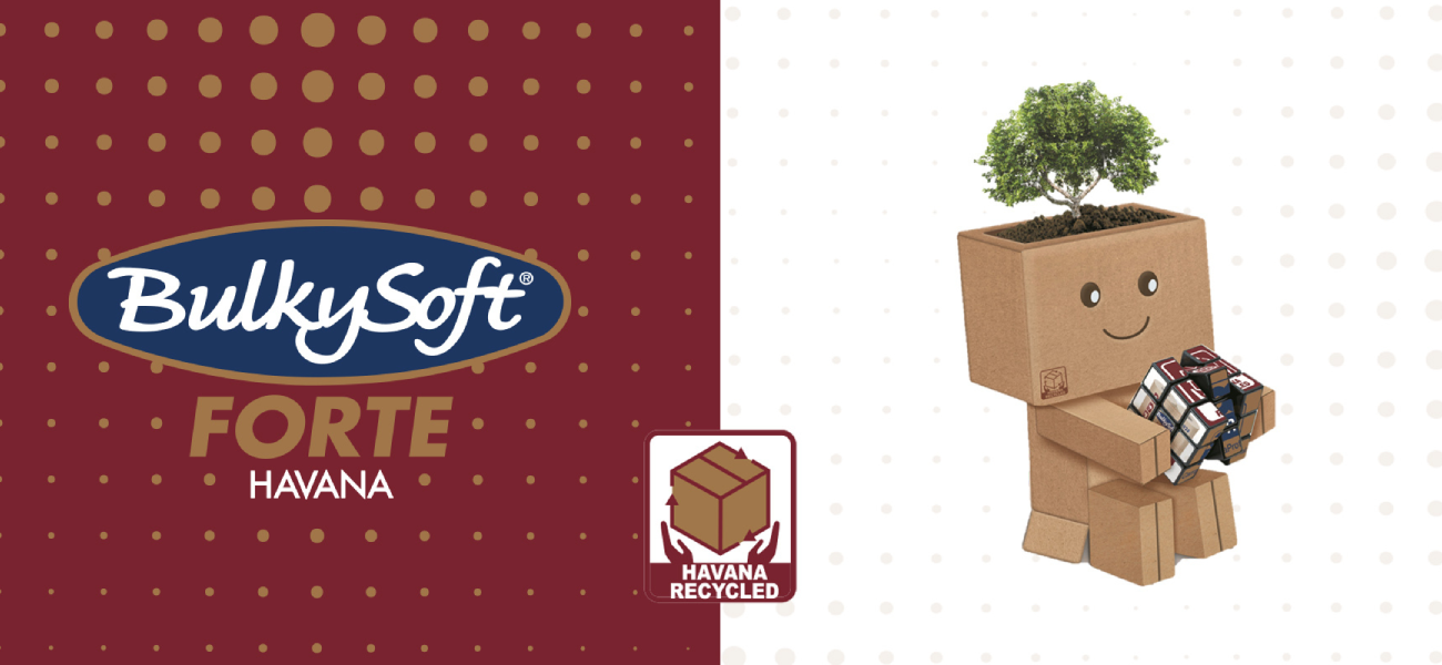 Bulkysoft Forte Havana